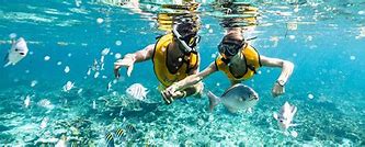 Image result for Cancun Snorkel