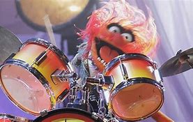 Image result for Animal Drummer