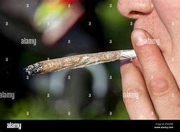 Image result for Marijuana Leaf Smoking a Joint