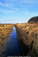 Image result for Peat Bog Berm