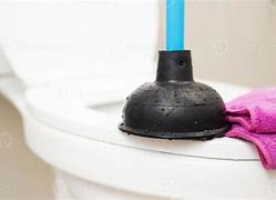 Image result for Plunder Toilet