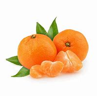 Image result for Clementine Streamer