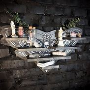 Image result for Death Head Moth Shelf