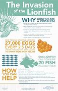 Image result for Lionfish Range