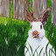 Image result for Cool Rabbit Artwork