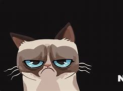 Image result for Funny Cat Cartoon Wallpaper