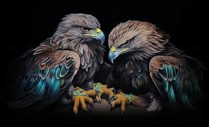 Image result for Birds of Prey Talons