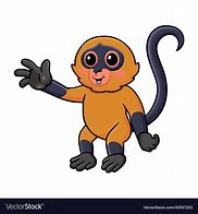 Image result for Cute Spider Monmkey