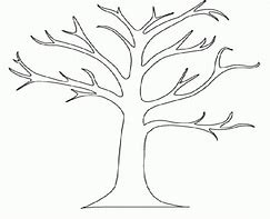 Image result for Tree Outline Graphic