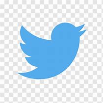 Image result for Twitter Logo Without Background