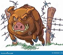 Image result for Angry Boar Cartoon