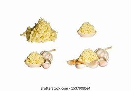 Image result for Picture of Galic On White Background