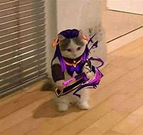 Image result for Reyna Cat Meme