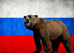 Image result for Russian Flag Symbol