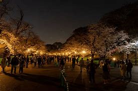 Image result for Ueno Park Banana