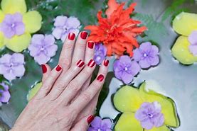 Image result for Get Your Nails Done