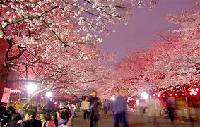 Image result for Ueno Park Banana