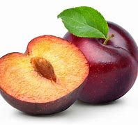 Image result for Black Plum Fruit