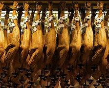 Image result for Iberico Ham Bone Diagram