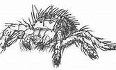 Image result for Harvest Mite