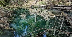 Image result for Fishing Dock Lake