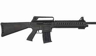 Image result for Best Affordable 12 Gauge Shotgun