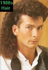 Image result for Horrible Mullet