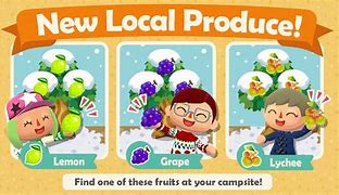 Image result for Animal Crossing New Leaf Fruit