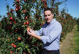 Image result for Fruit Farmer