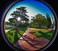 Image result for Fisheye Lens Sample