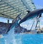 Image result for Nagoya Aquarium