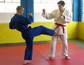 Image result for Front Snap Kick