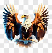 Image result for Eagle Flying Top View