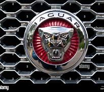 Image result for Blue Jaguar Logo