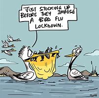 Image result for Bird Flu Cartoons Pics