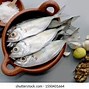 Image result for Trevali Fish