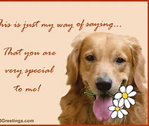 Image result for You Are Special to Me Quotes