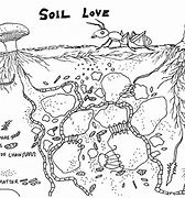 Image result for Soil Layers Drawing