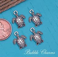 Image result for Openable Turtle Charm