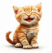 Image result for Happyy Cat