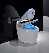 Image result for Bodea Toilet