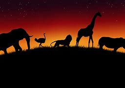 Image result for Zoo Background Printable