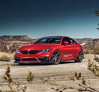 Image result for Drip Cat in BMW M4 PFP