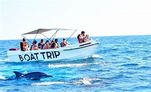 Image result for Sea Trip