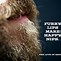 Image result for Funny Beard Sayings