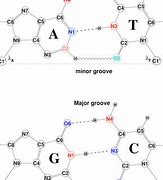 Image result for Double H Bonds Savings