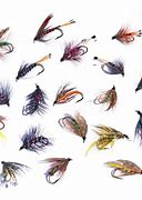 Image result for Lake Trout Fly Patterns