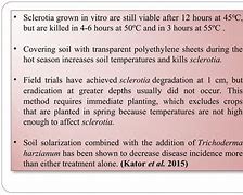 Image result for Sclerotium Rolfsii Soybean