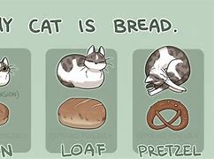 Image result for Cat Bread Pose