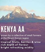 Image result for Mount Kenya Coffee